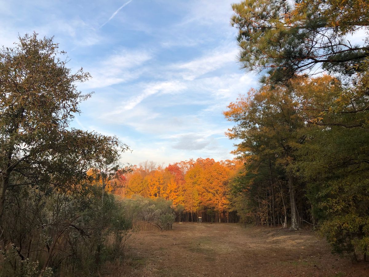Approach on hole 15.