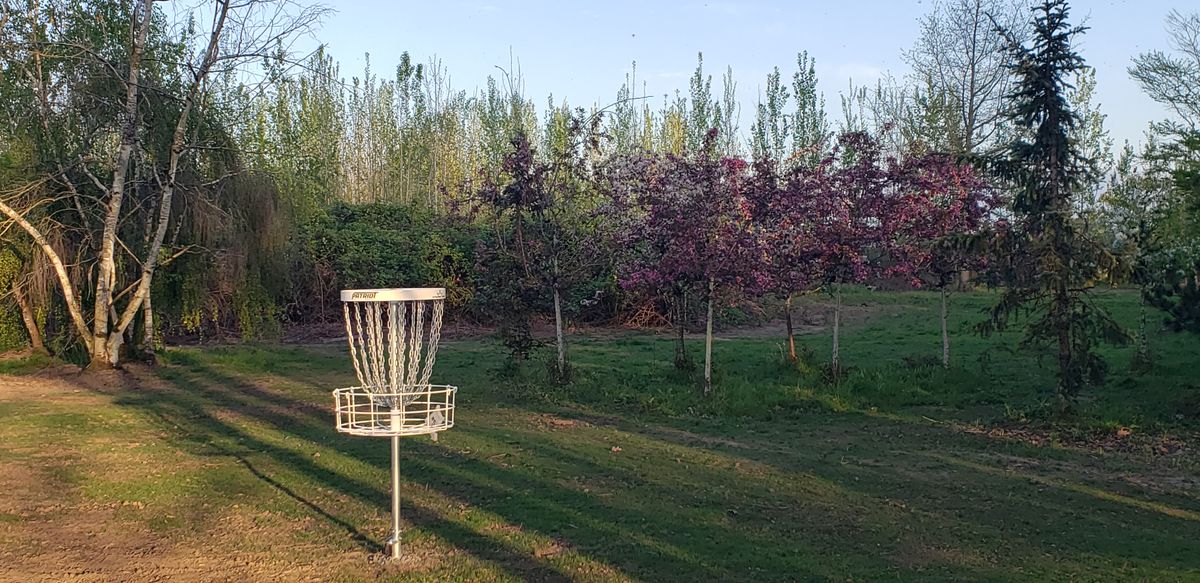 #4 is a 254 ft.  Par 3 guardian Crab Apples in front of a large, beautiful green.