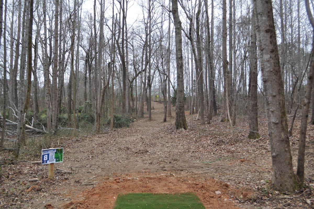 Hole 8 Long