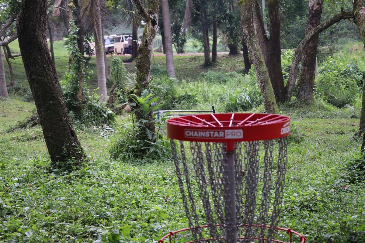 Hole 10 Basket