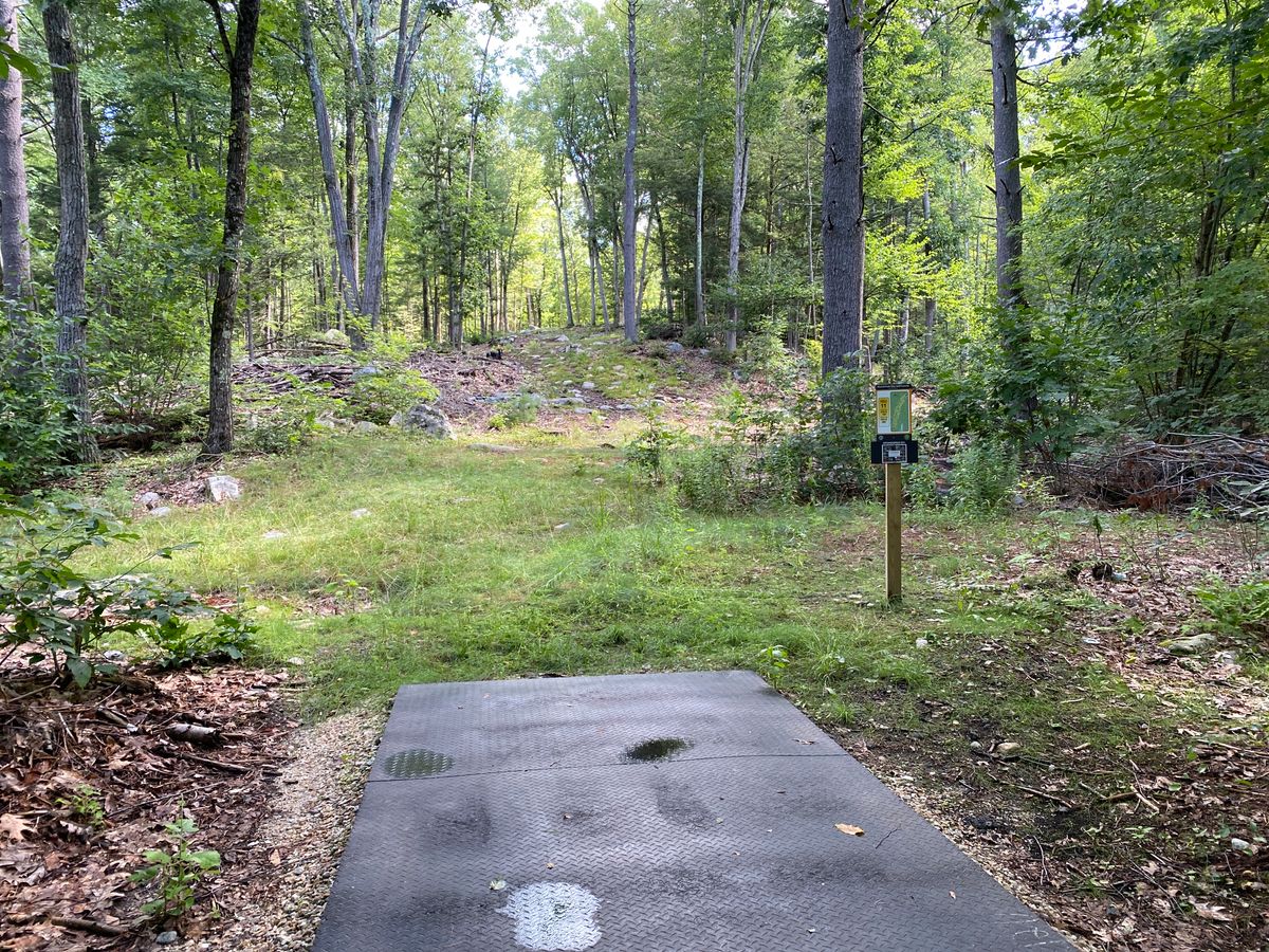 Tee box of 11 Long