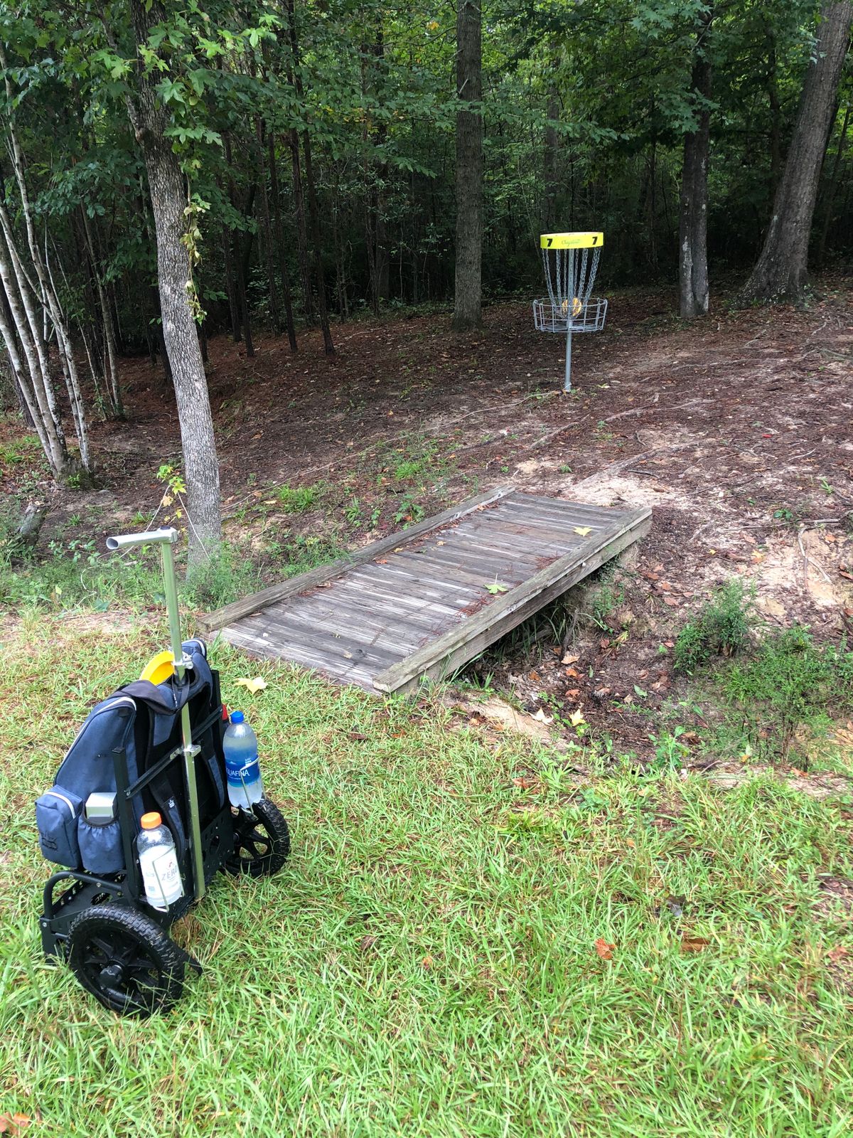 Hole 7 basket