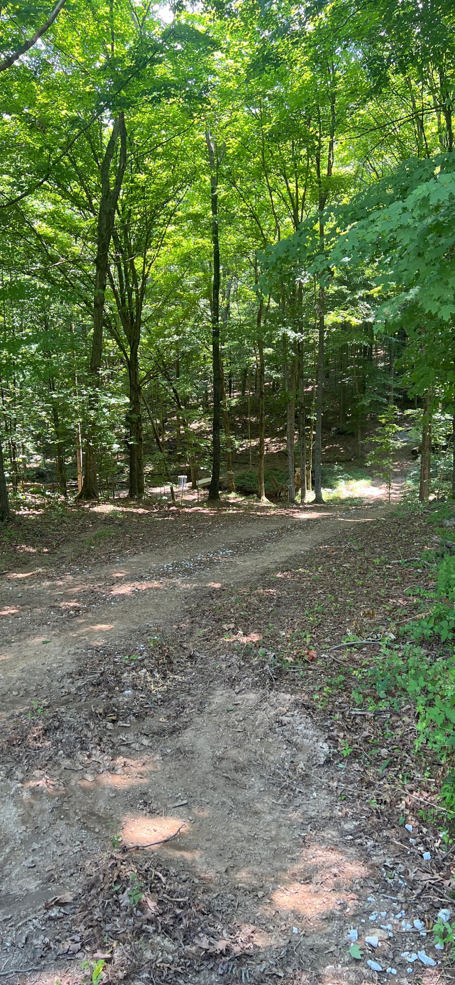 Hole 2 fairway