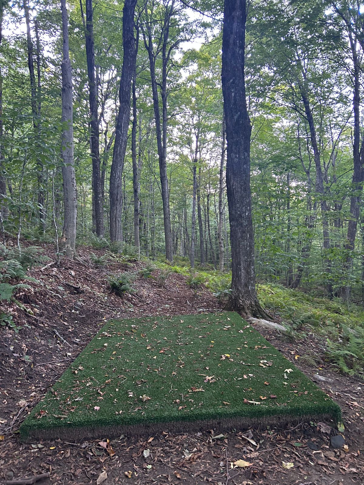Hole 10 tee