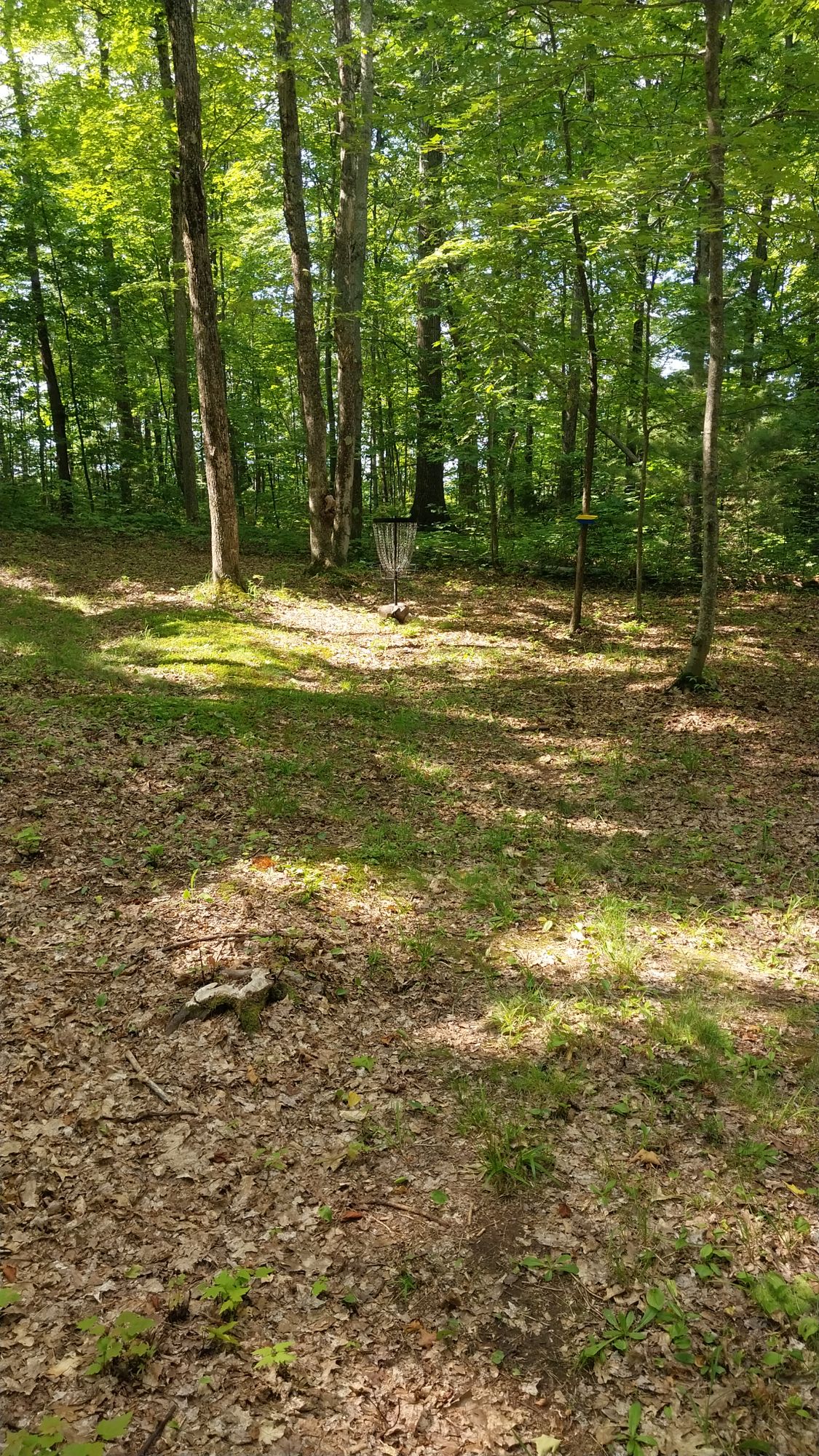 Hole 7 short