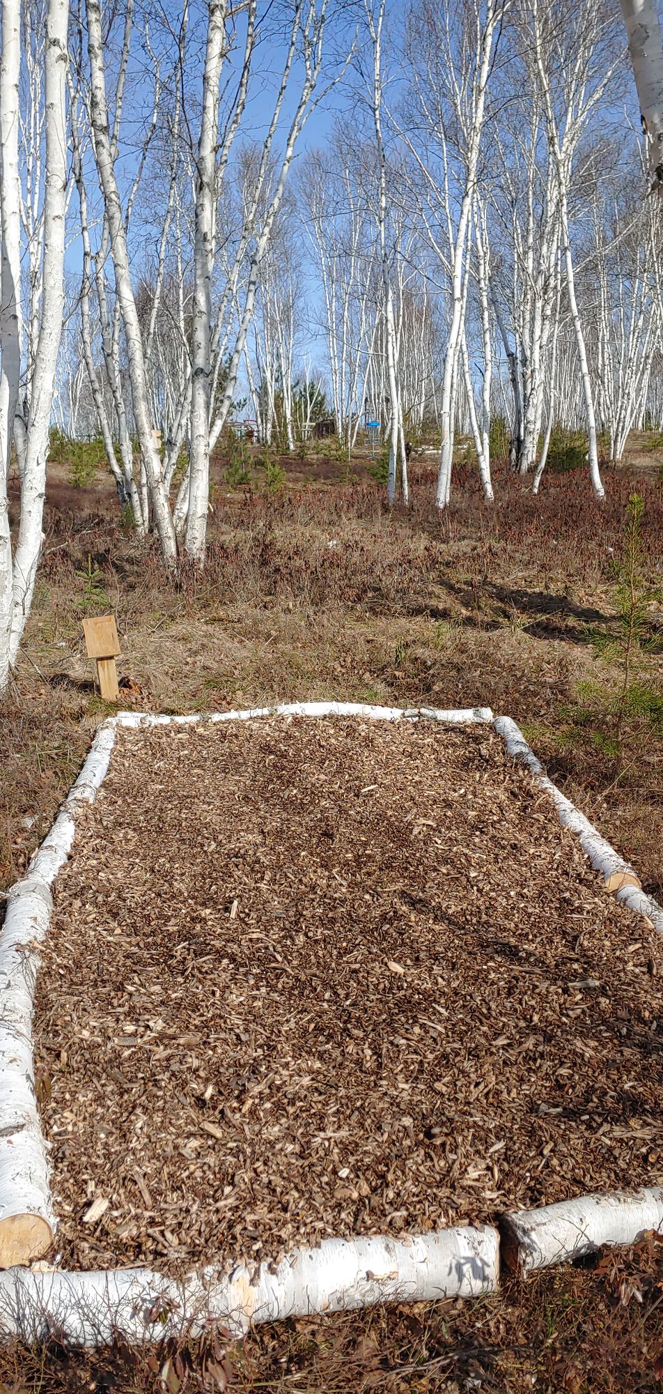 Hole 6 tee pad