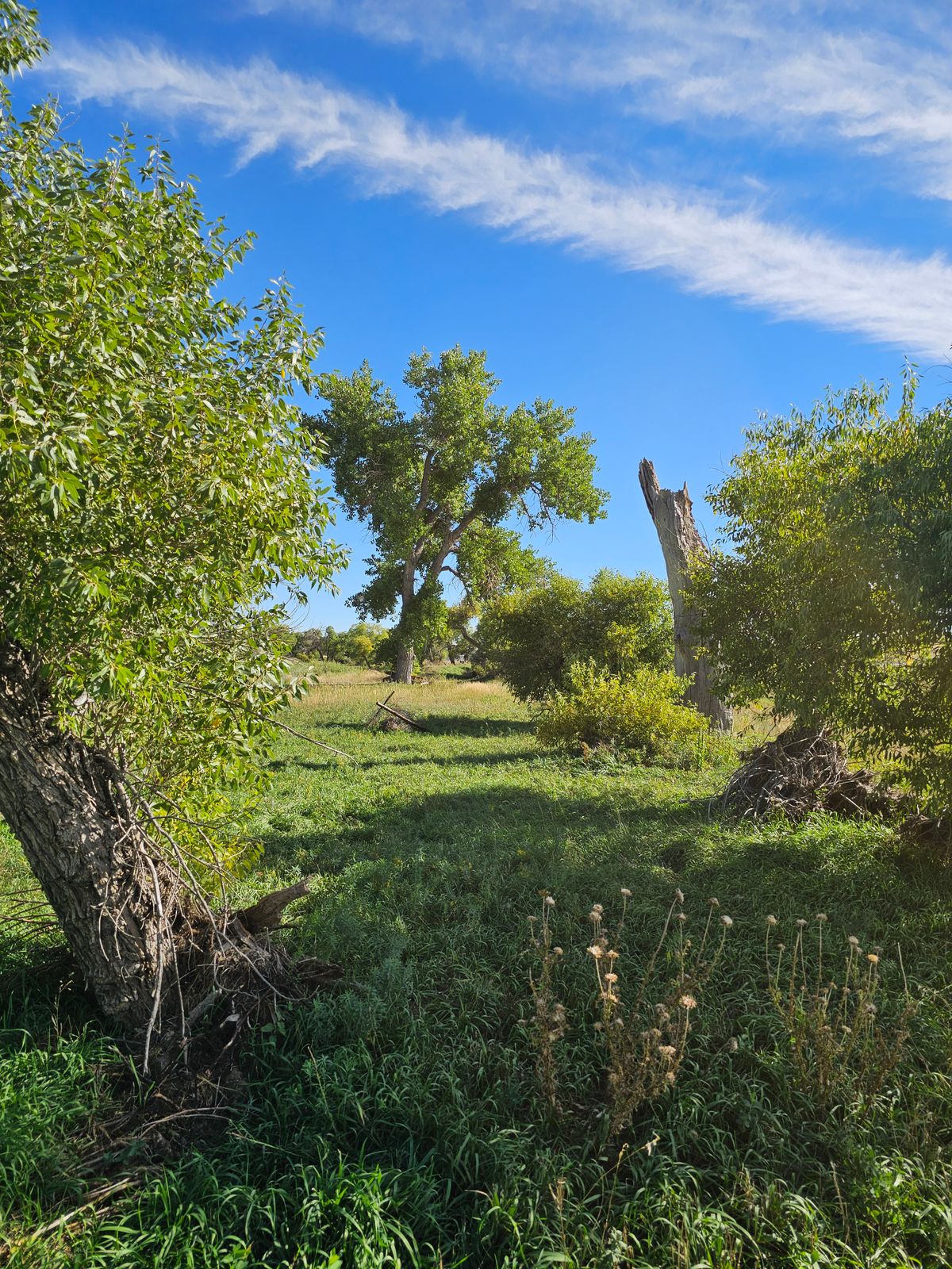 Hole 16 Fairway