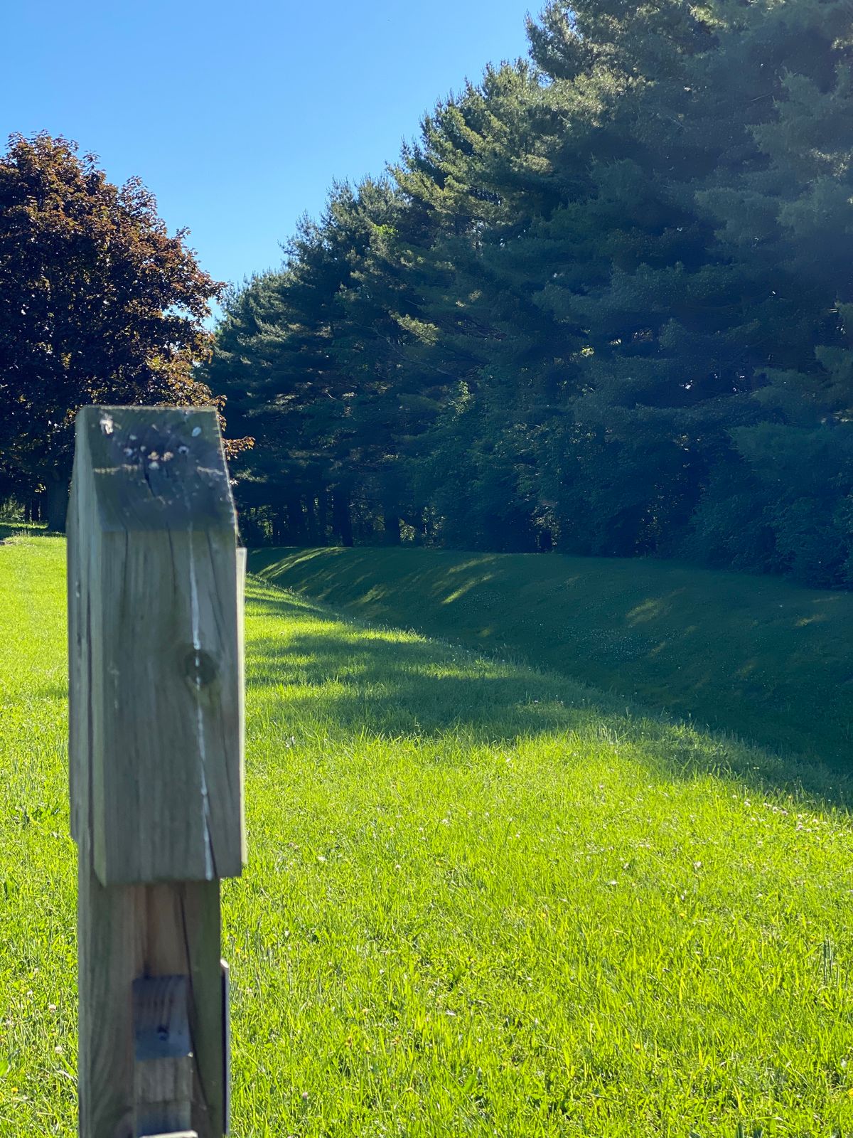 In the woods to the right of the tee.
