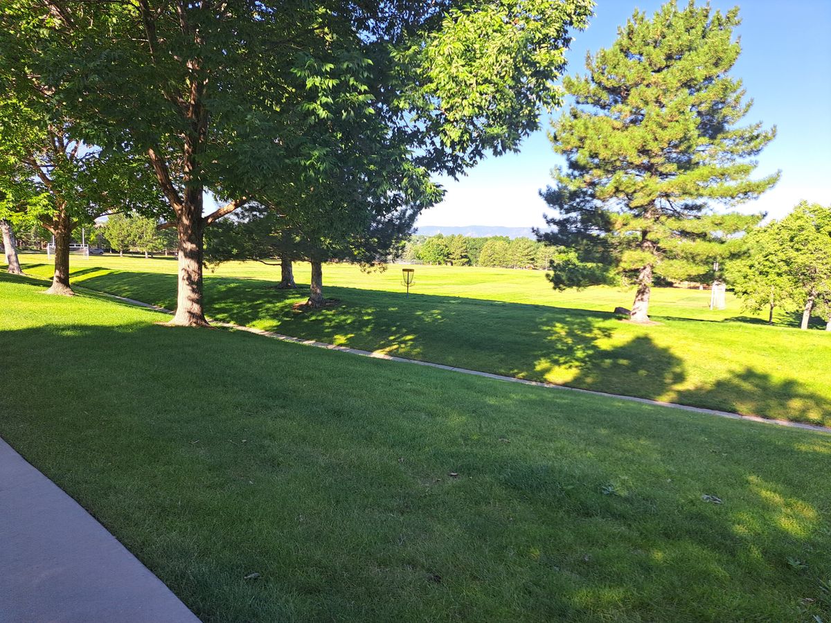Hole 9 basket from behind