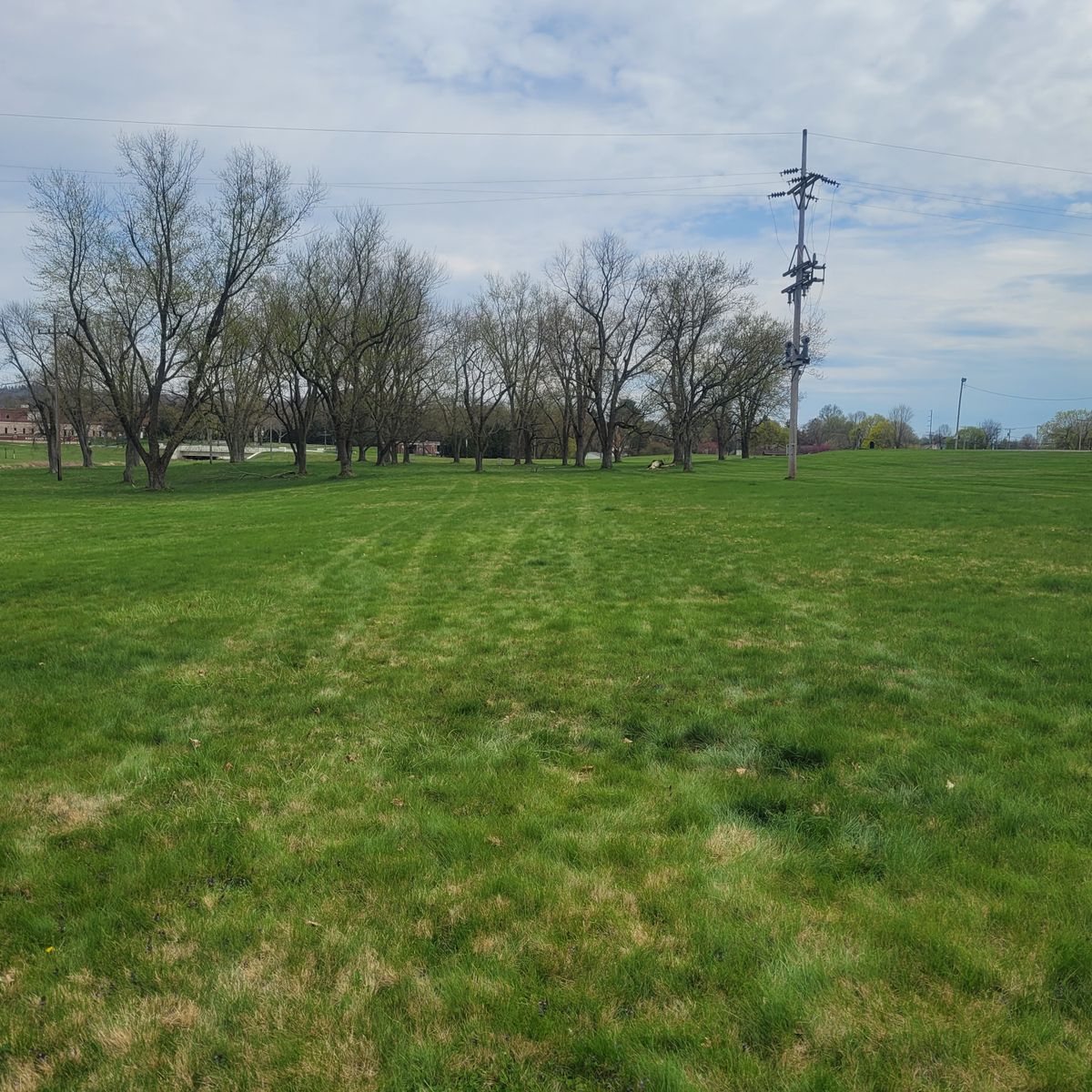 Tee 7