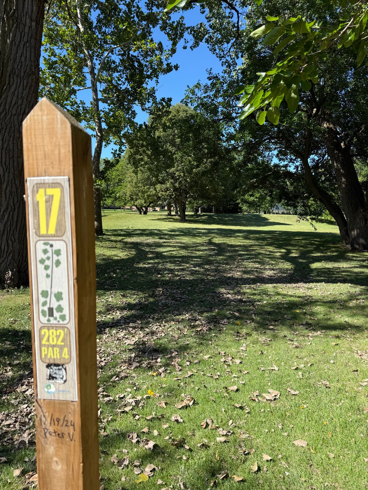 Tee 17