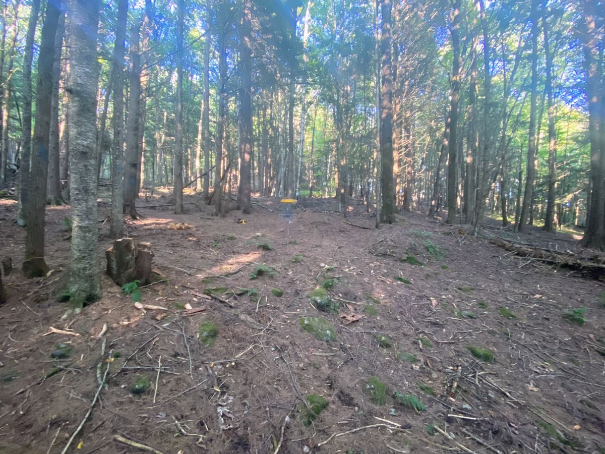 Hole 2 green 