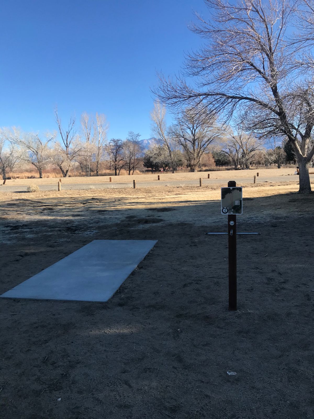 Tee pad 5