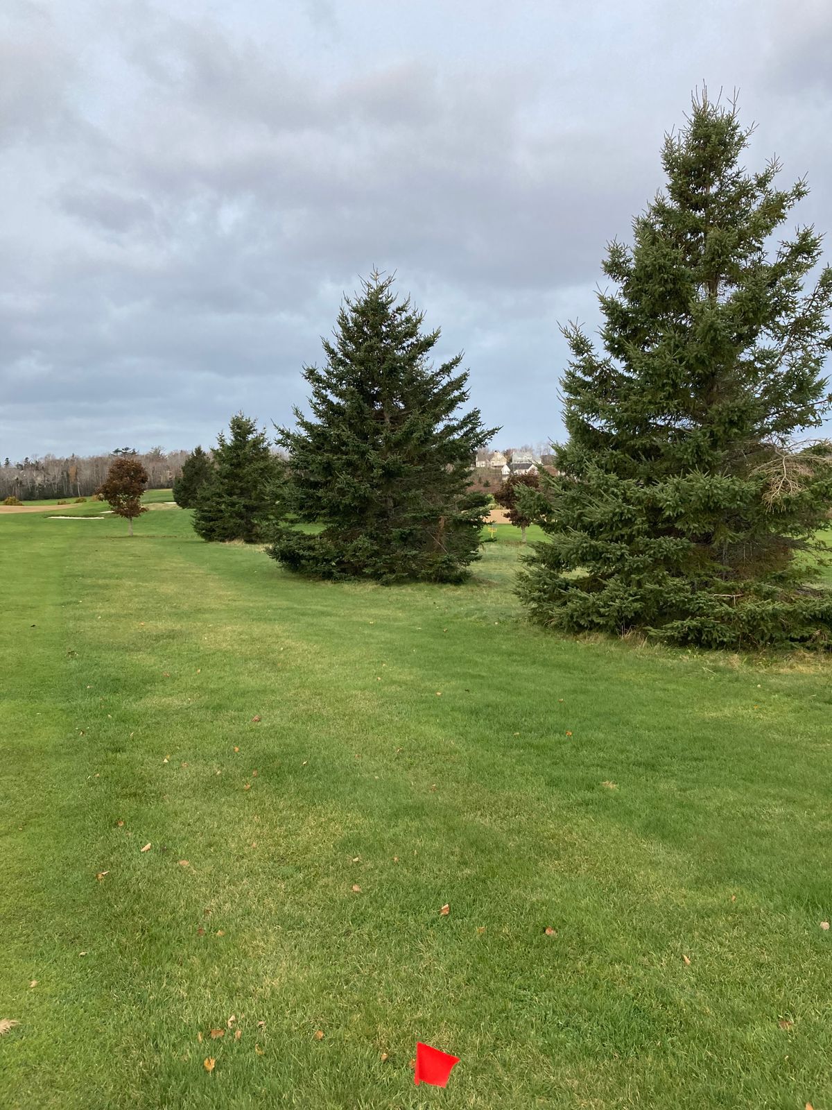 Hole 2 Red tee