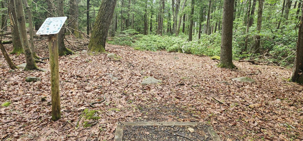 Hole 13 blind shot, down to the right