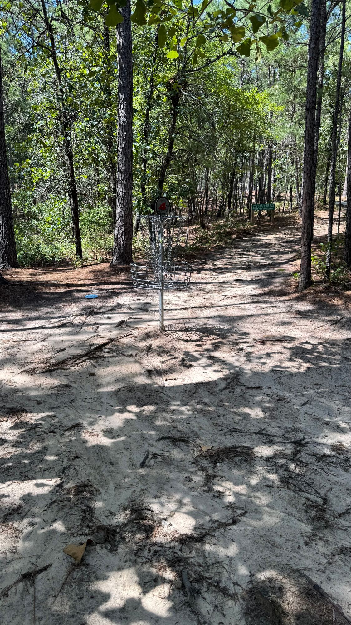 Hole 4 Basket