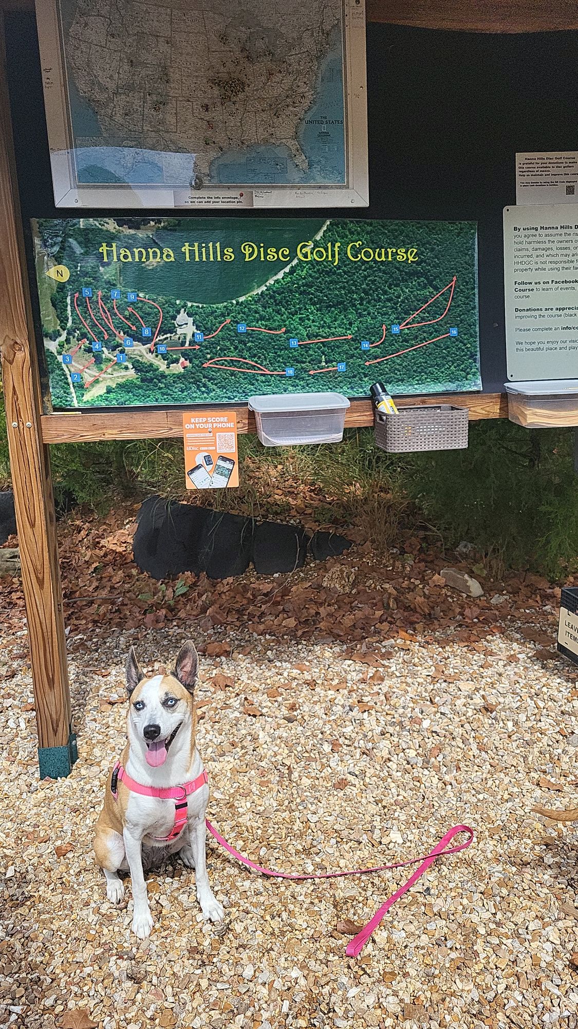 Map with doge