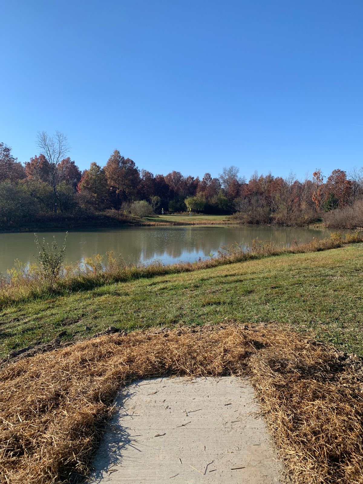 Hole 4 - Pro Tee