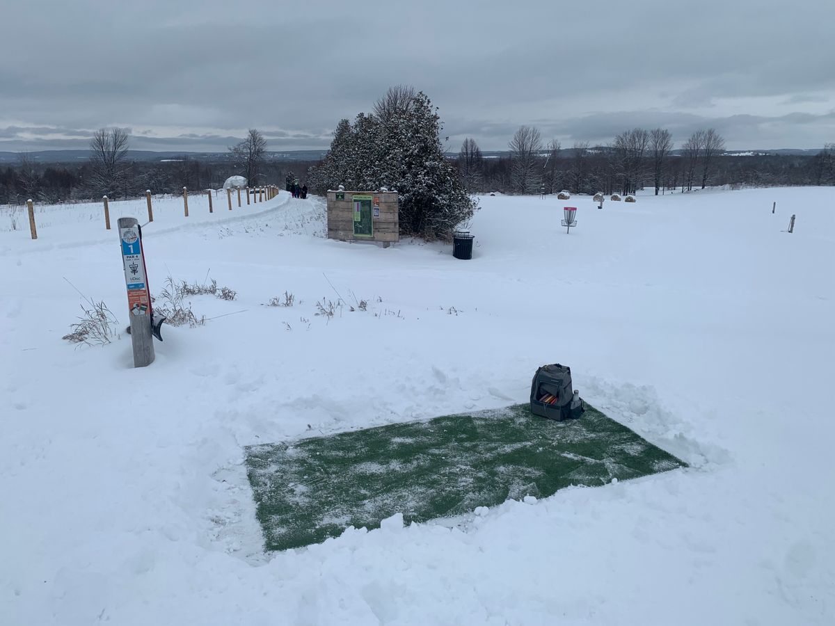 First tee looking towards the 18th, turf shovels well, we do our best to keep them clear, and there