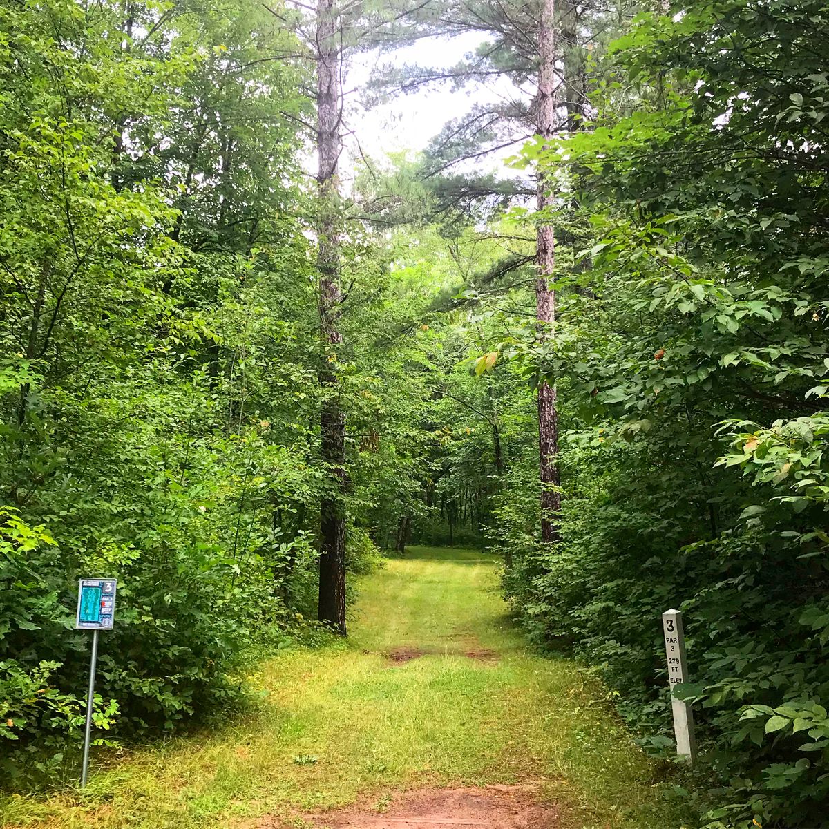 Hole 3 - 265