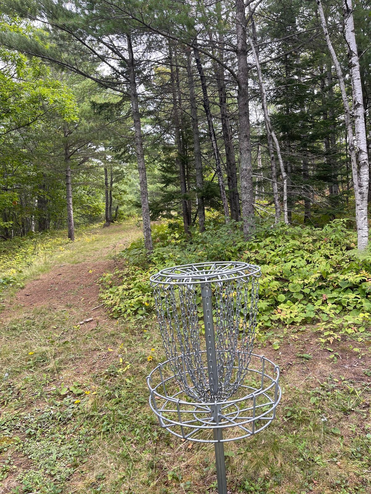 View from 7 green