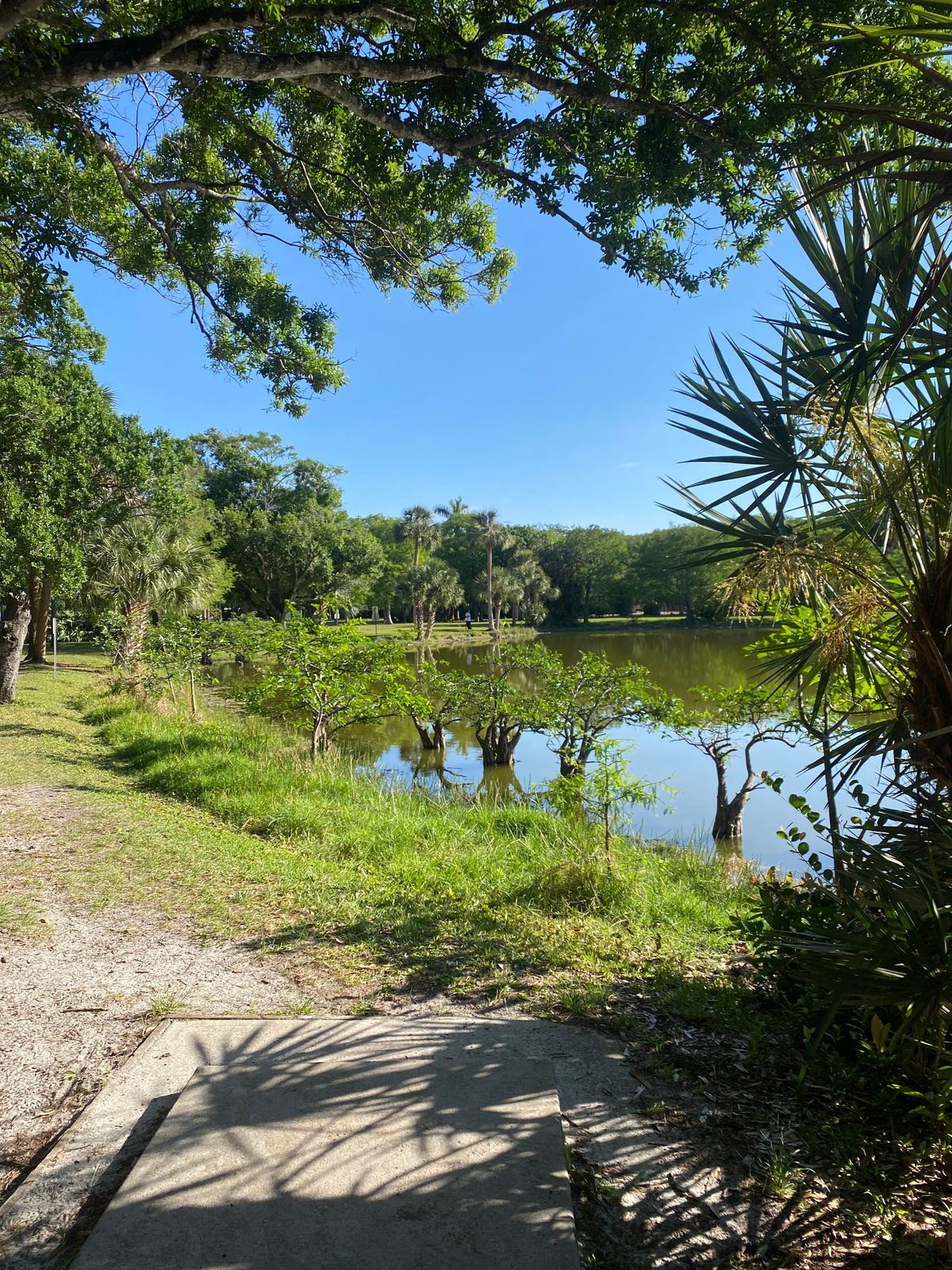 Hole 5 view from the tee pad