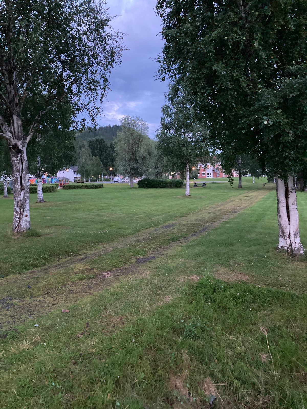 Tee 9 mellan träden på vägen