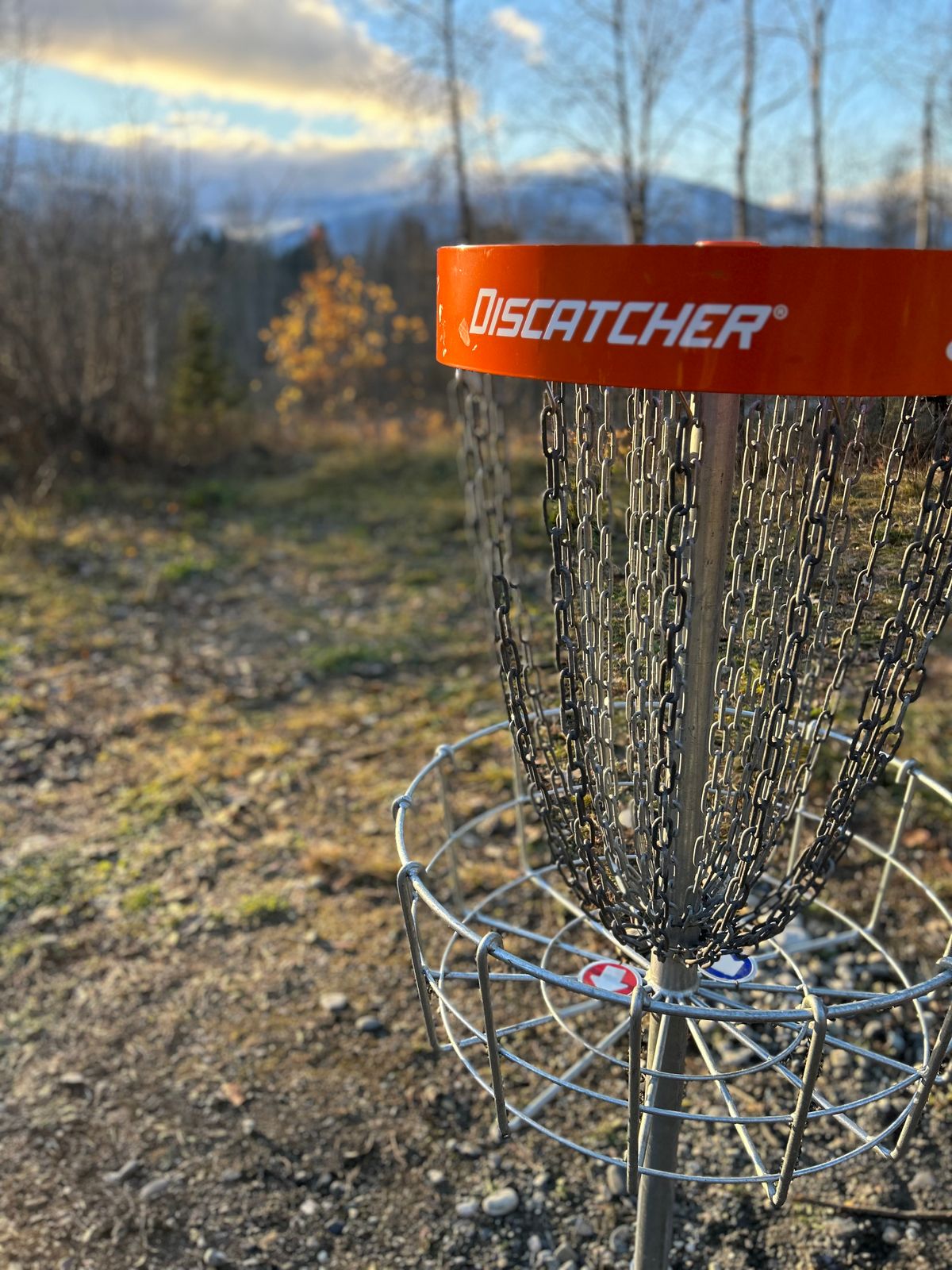 11 basket late season