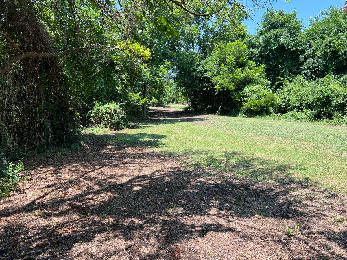 Hole 16 tee