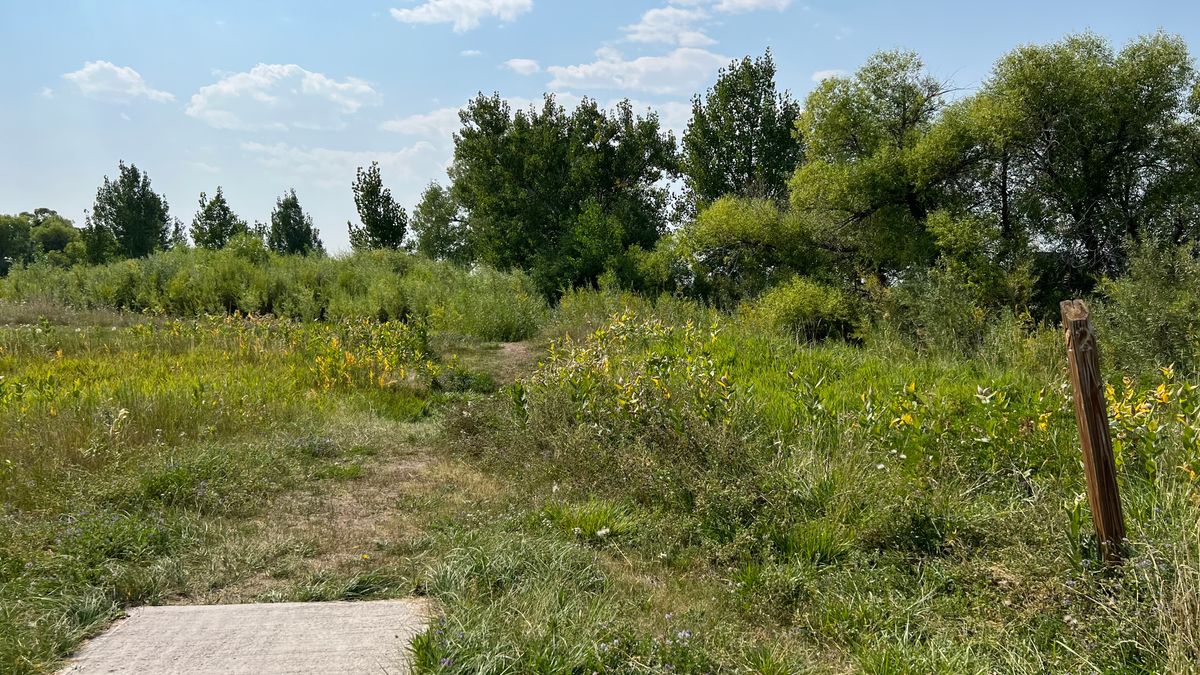 Hole 2