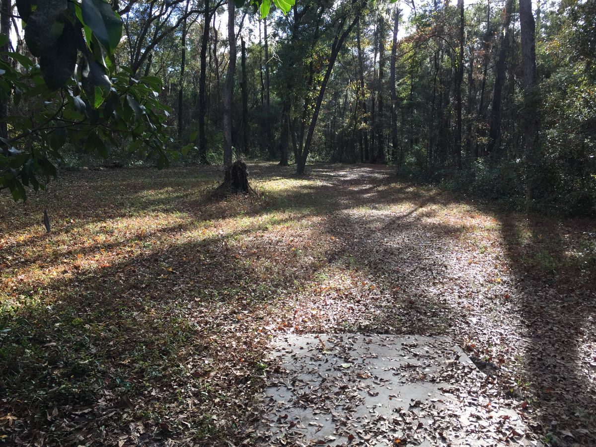 Hole 11