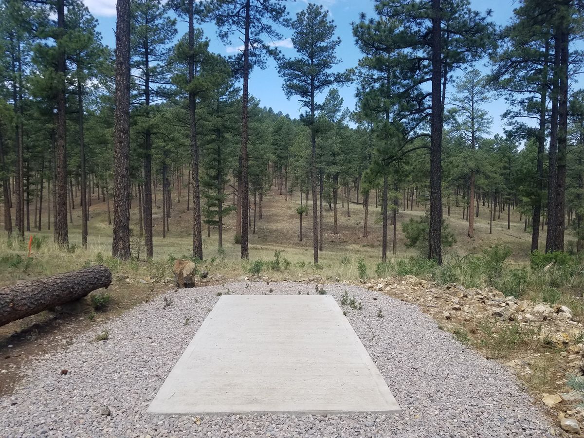 Hole 2, Par 3, 400'+