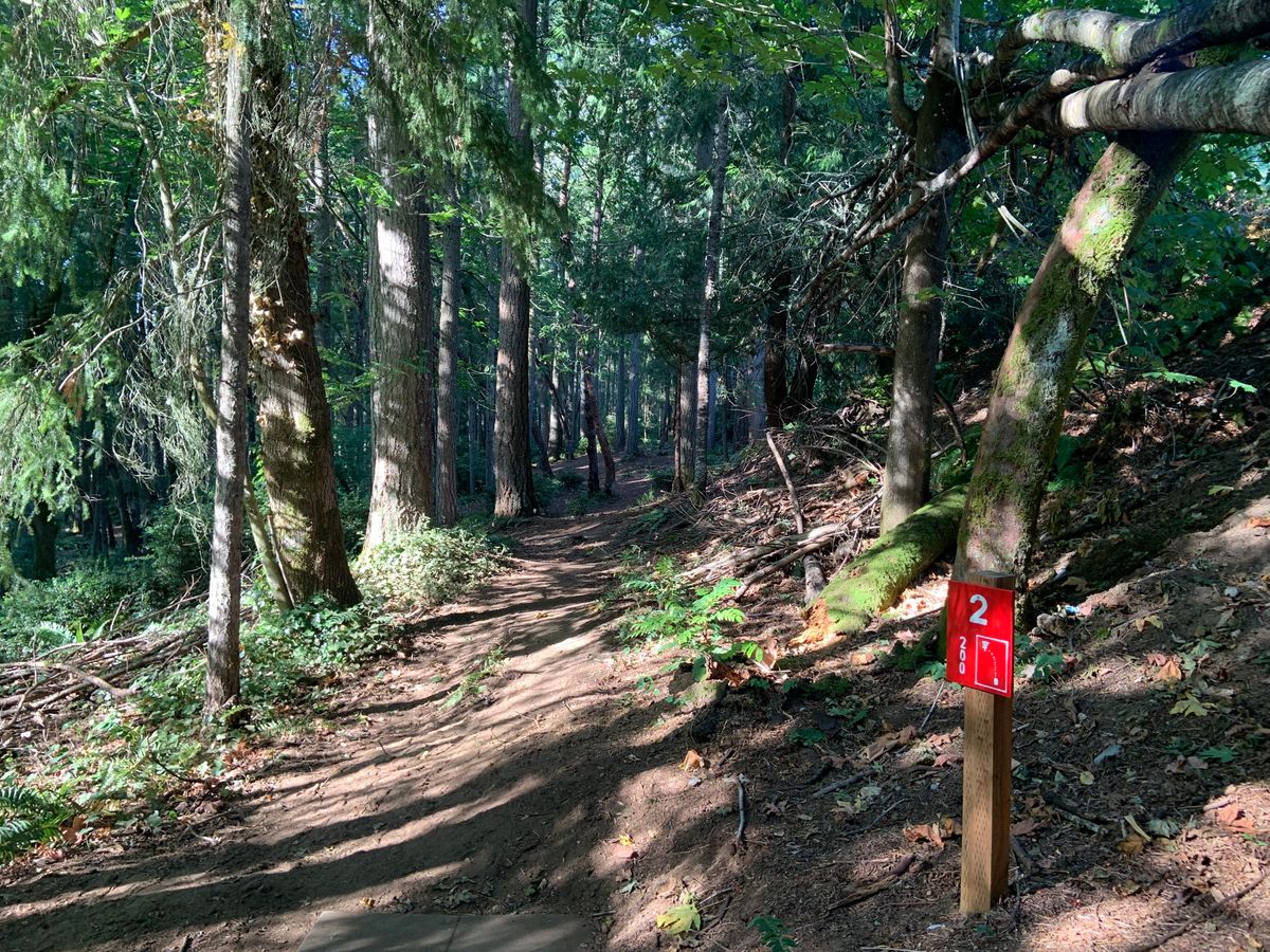 Hole 2 - Red Tee