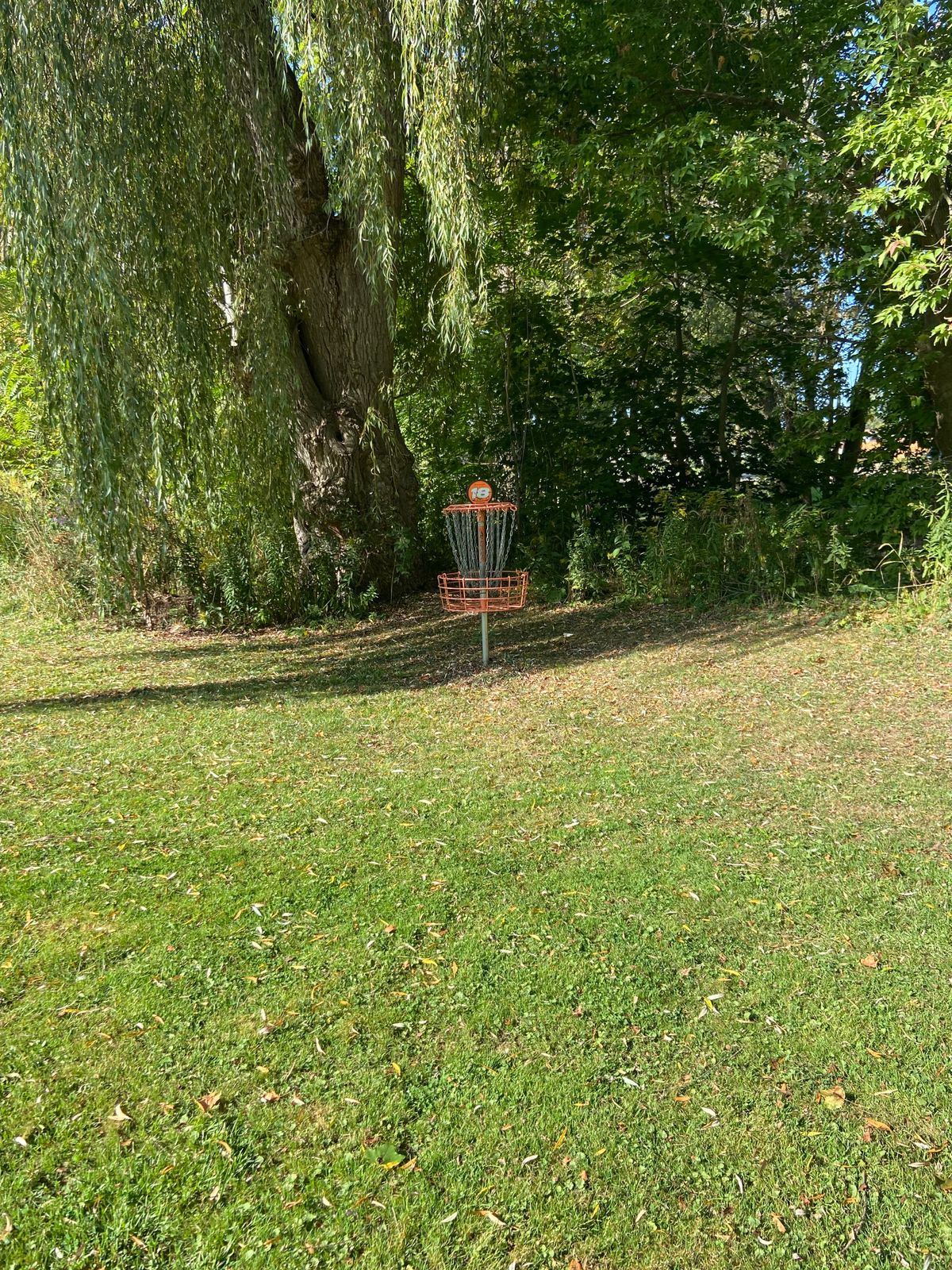 Hole 18’s basket