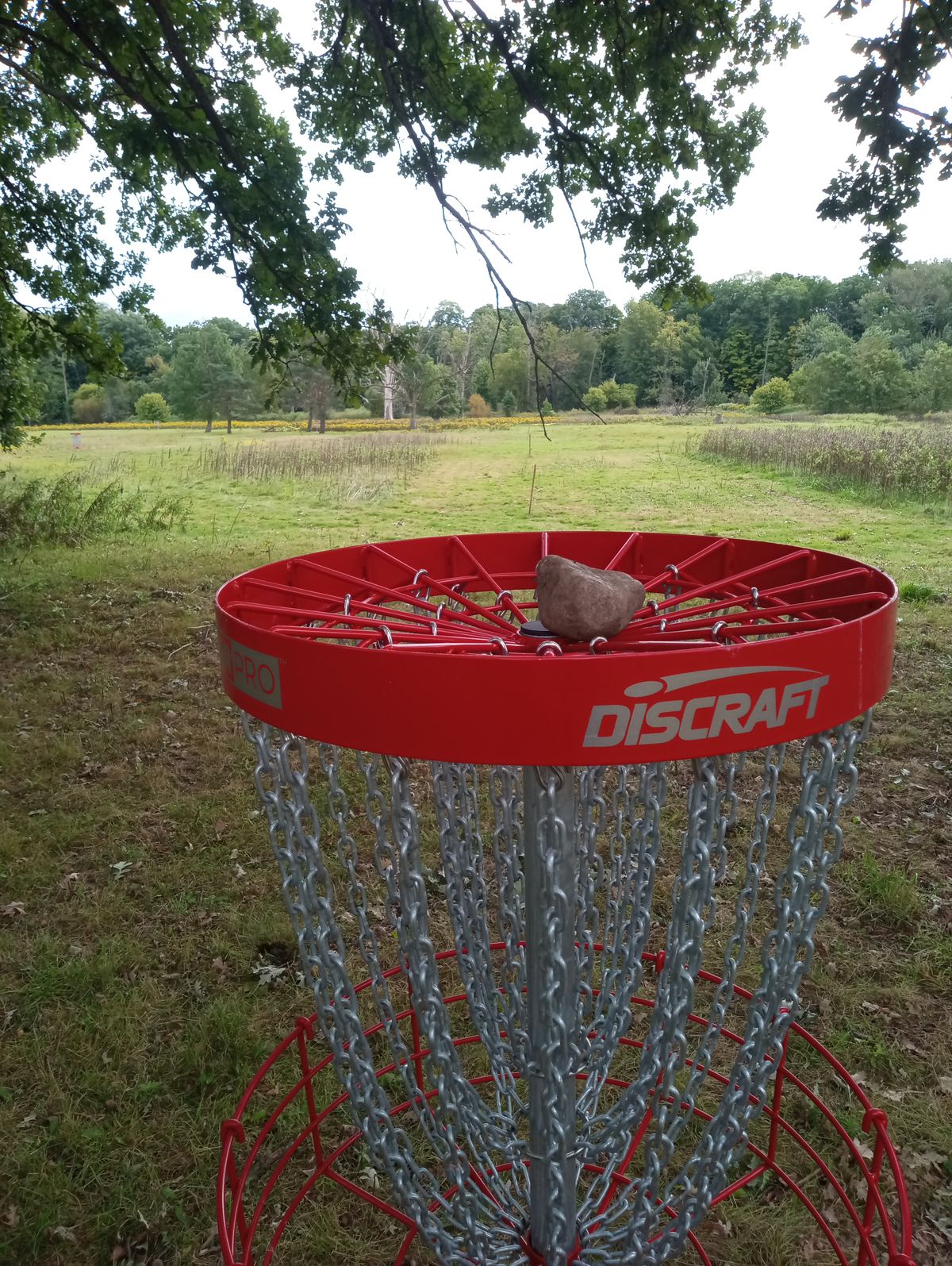 Hole 6 back to tee