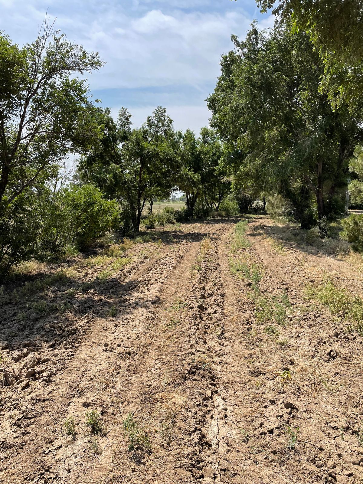 Hole 7