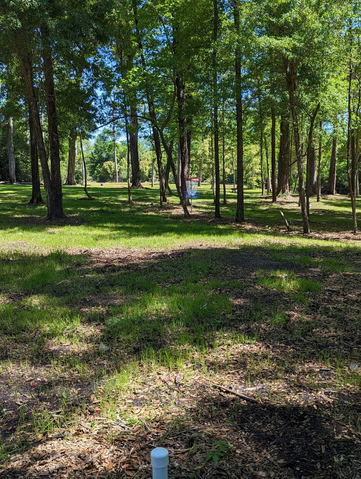 Hole 12 A and Veteran Pin Locations