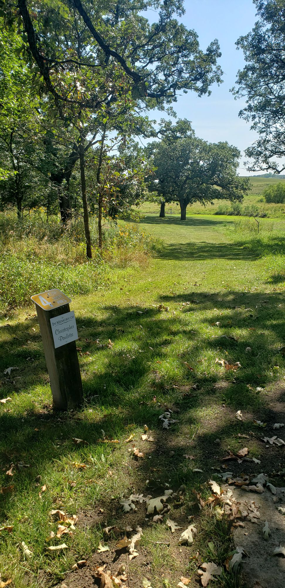 Hole 5 Gold tee