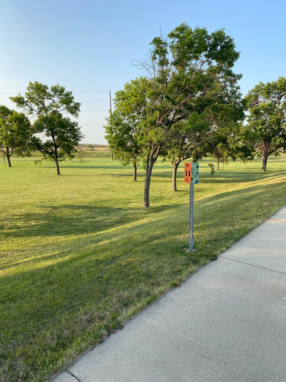 #11 from the walkway uses basket #2.  Optional hyzer over the trees or forehand thru the gap.