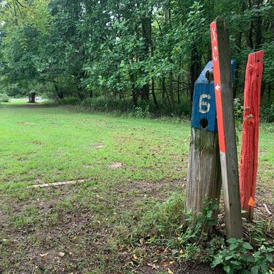 ‘Basket’ of 6 and tee of 7.