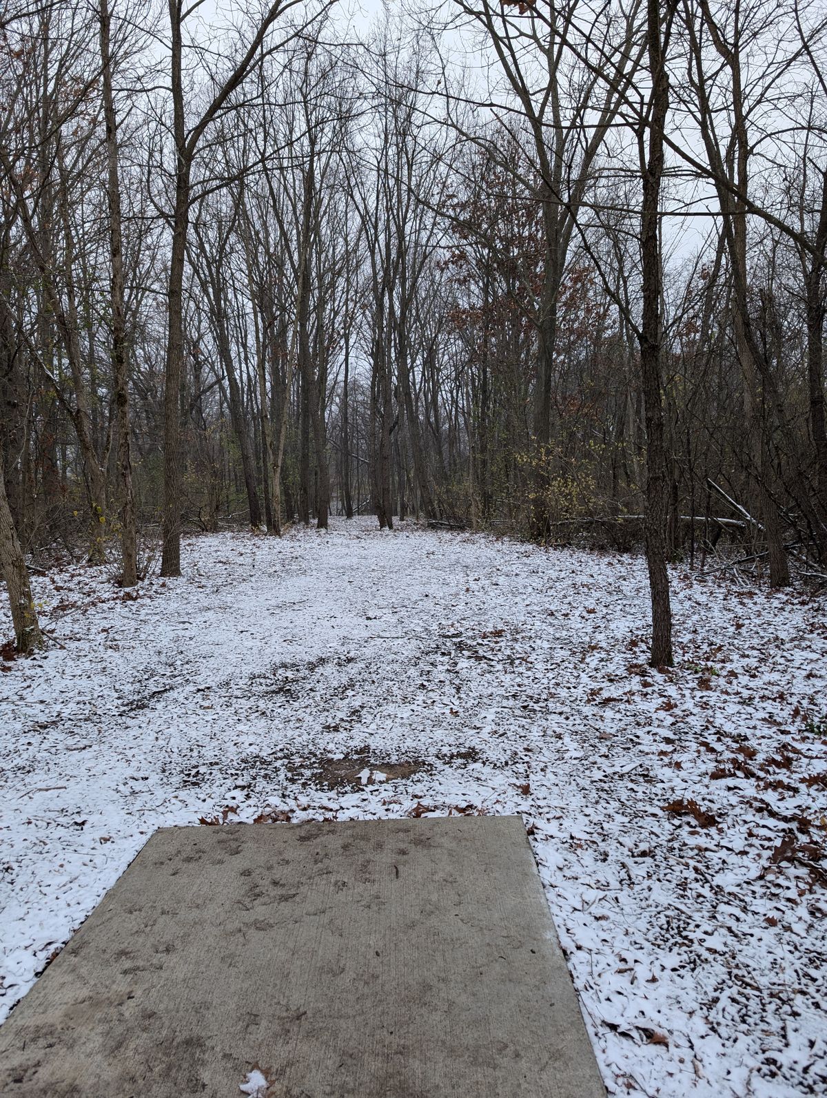 Hole 1 in the snow
