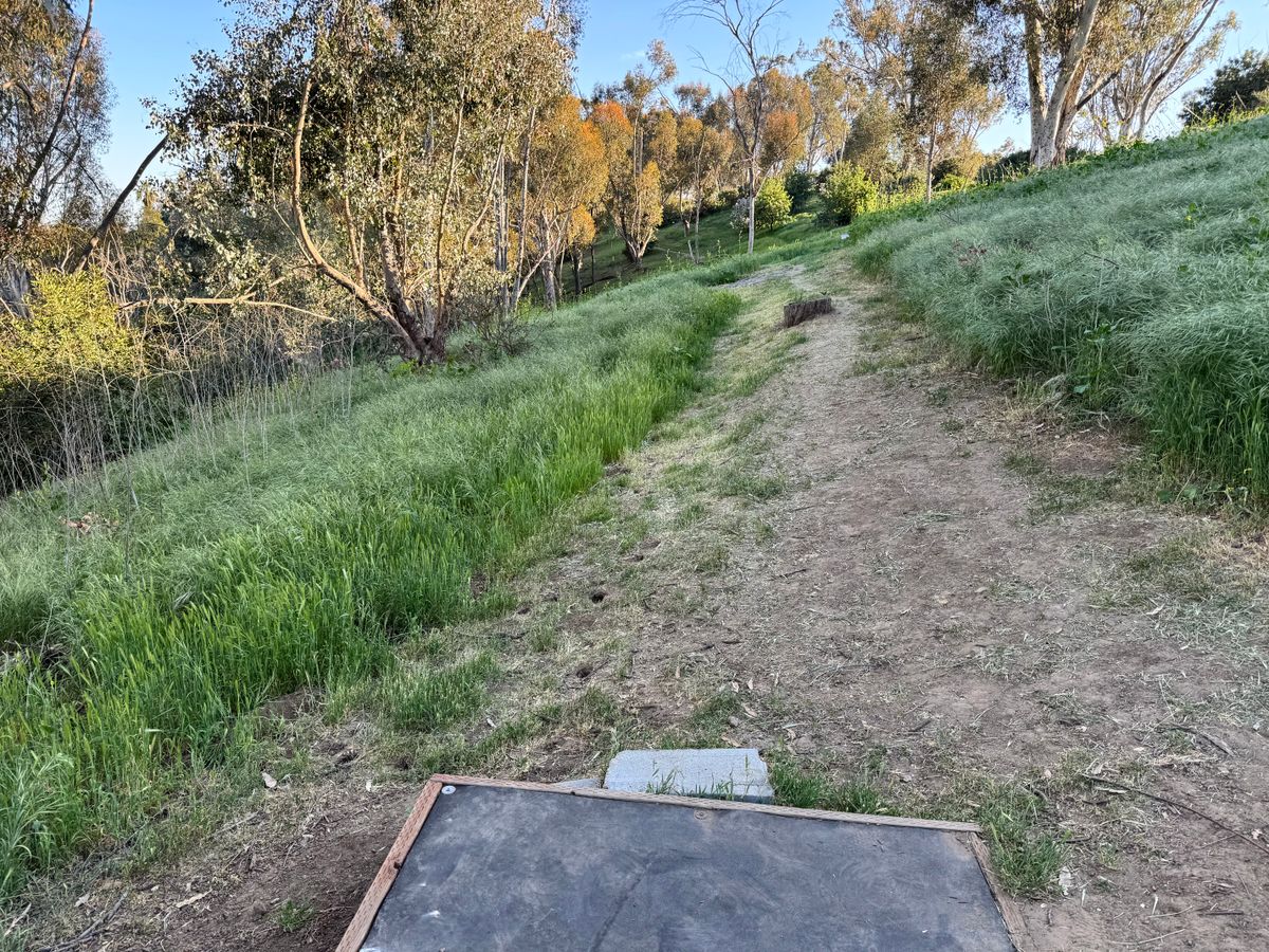 8 tee box