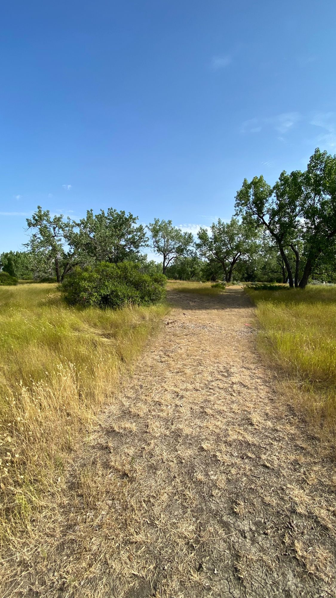 Hole 3 Fairway