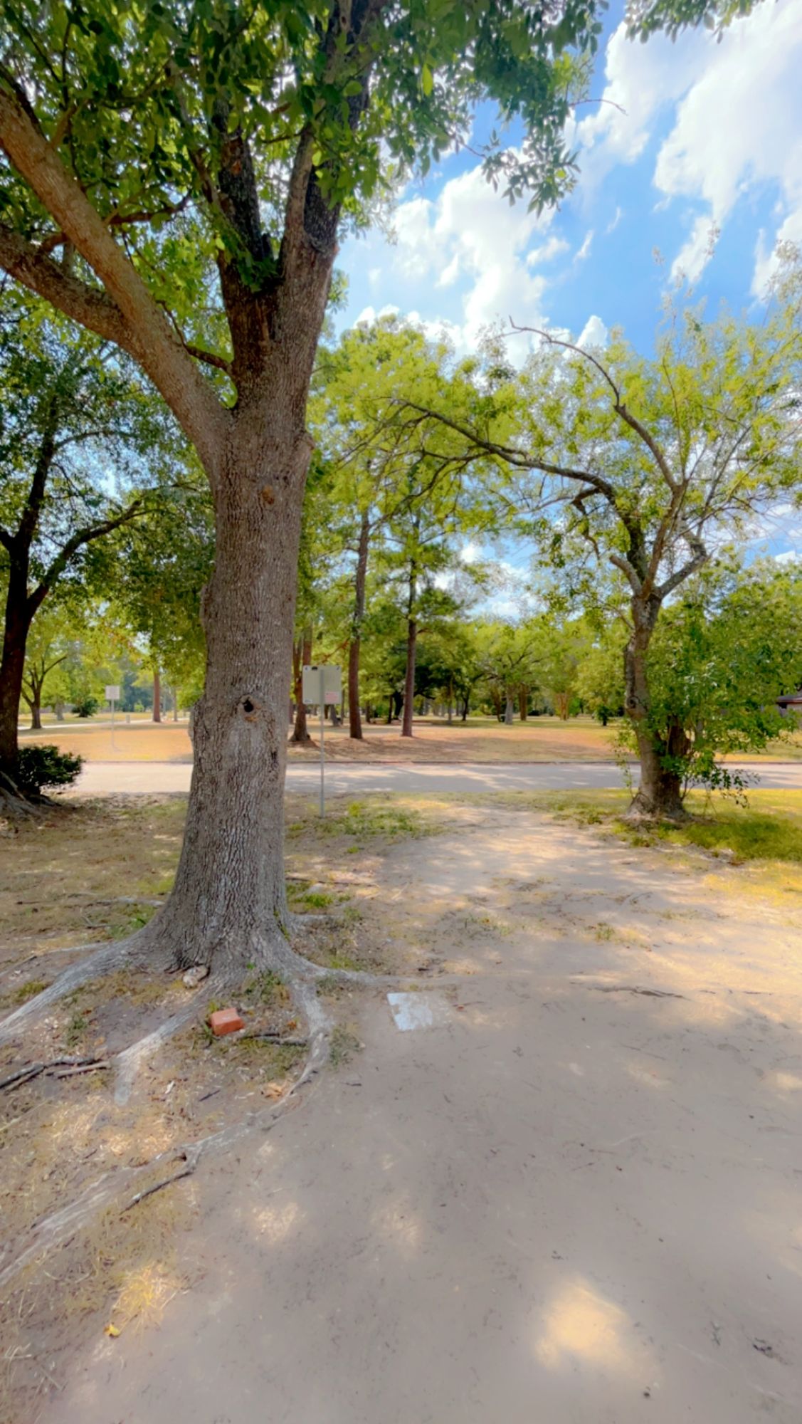 Hole 1 Short Tee