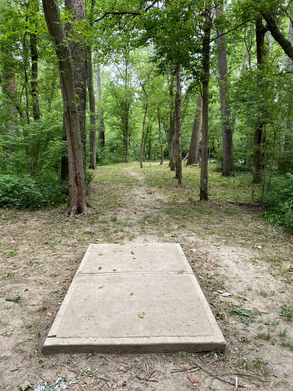 Additional Hole E (Tee Box)