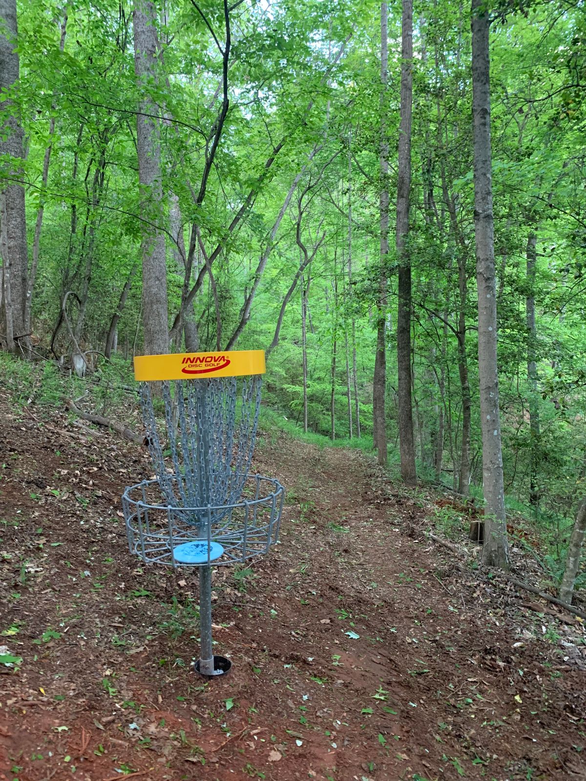 Basket Hole #7