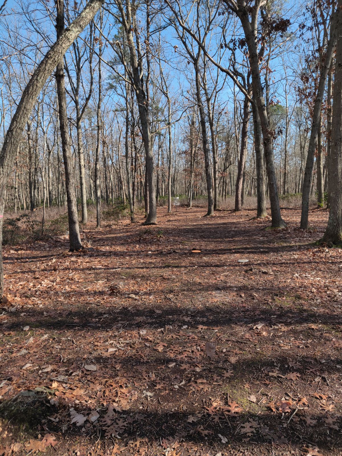 Hole 10 fairway