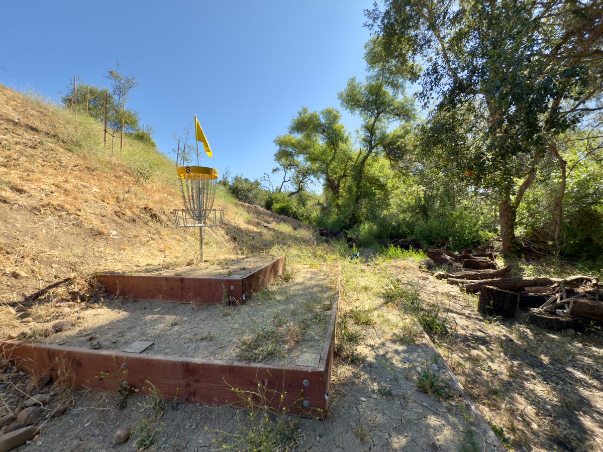 Hole 8 basket