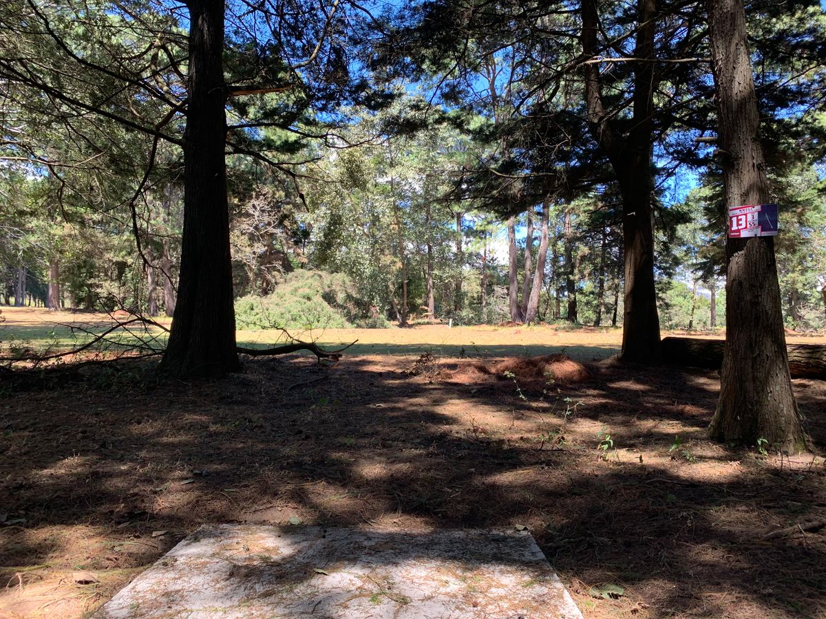 Hole #13 tee pad