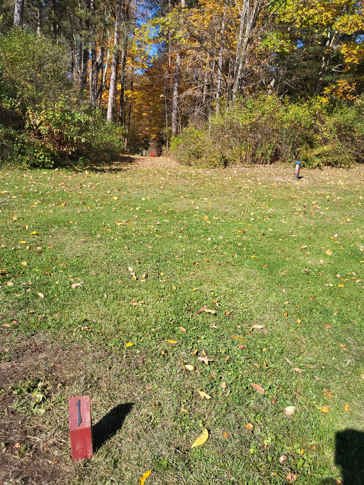Hole 1 tee